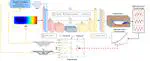 Deep learning emulation of forced vibration flows for accurate prediction of shape-dependent self-excited forces