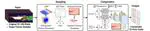 Extreme Compression of LES Flow Data